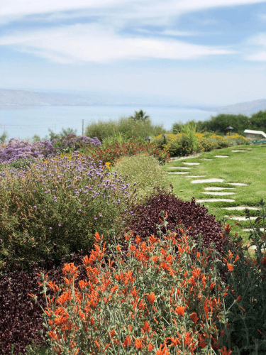 עיצוב גינה 6